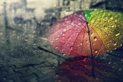 an ubrella
