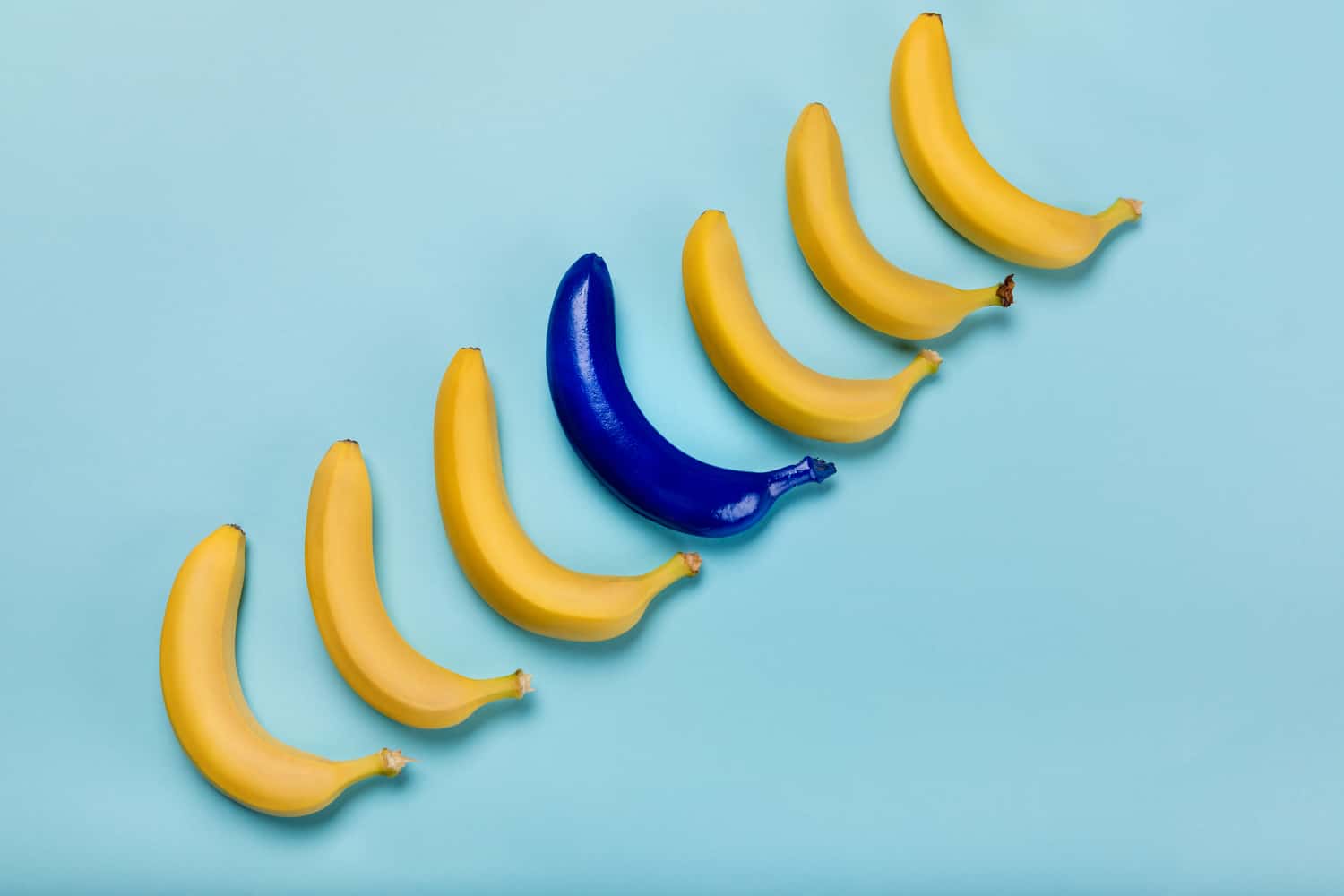 different bananas